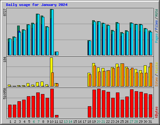 Daily usage for January 2024
