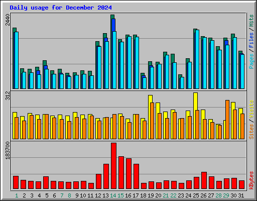 Daily usage for December 2024