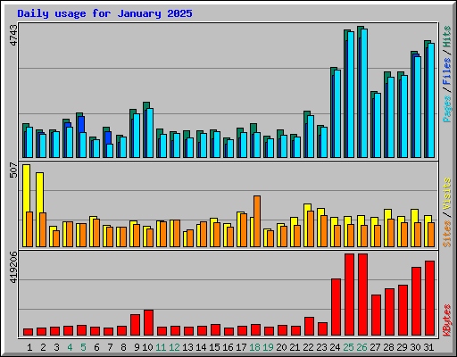 Daily usage for January 2025