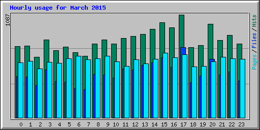 Hourly usage for March 2015
