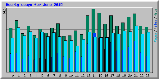Hourly usage for June 2015