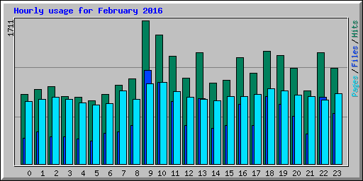 Hourly usage for February 2016