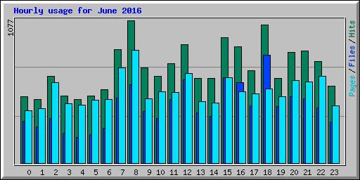 Hourly usage for June 2016