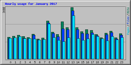 Hourly usage for January 2017