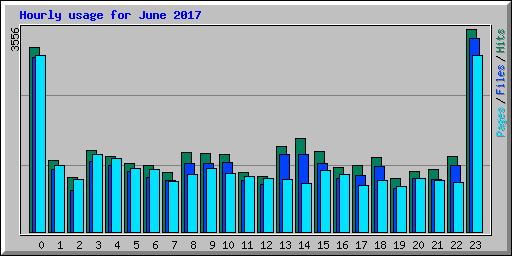 Hourly usage for June 2017
