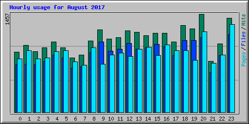 Hourly usage for August 2017