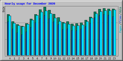 Hourly usage for December 2020