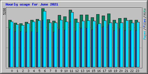 Hourly usage for June 2021