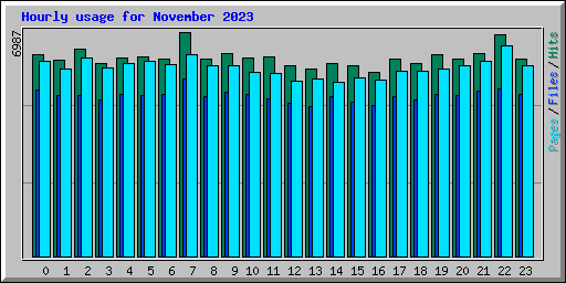 Hourly usage for November 2023