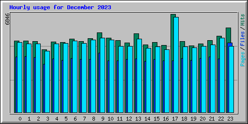 Hourly usage for December 2023