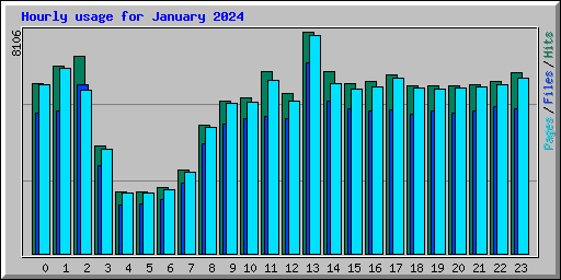 Hourly usage for January 2024