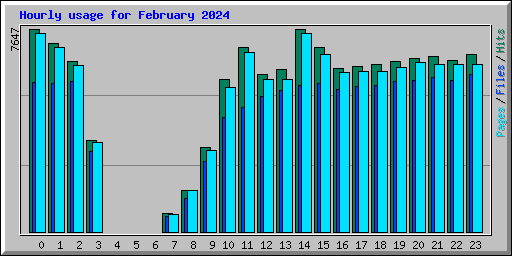 Hourly usage for February 2024