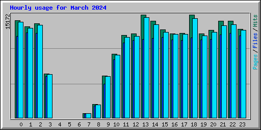 Hourly usage for March 2024