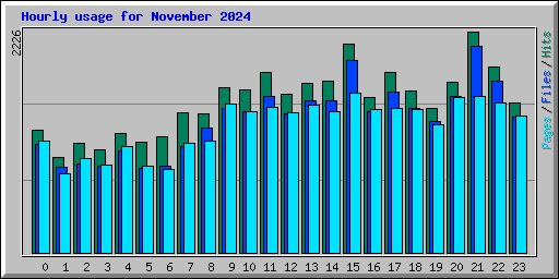 Hourly usage for November 2024