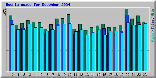 Hourly usage for December 2024