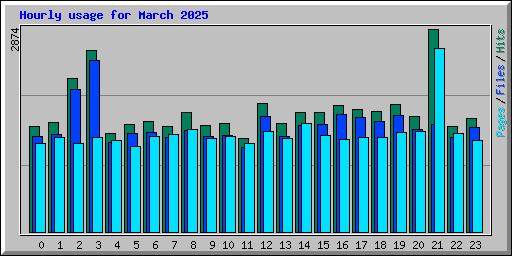 Hourly usage for March 2025