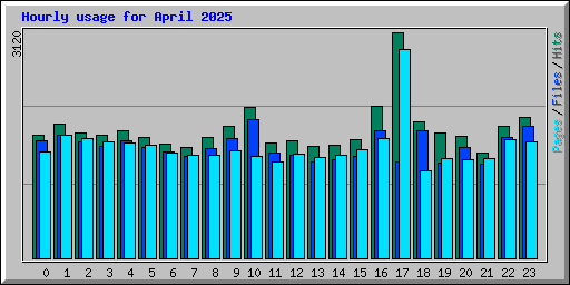 Hourly usage for April 2025
