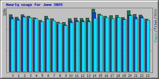 Hourly usage for June 2025