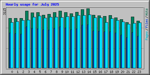 Hourly usage for July 2025