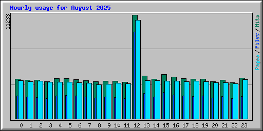 Hourly usage for August 2025