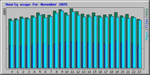 Hourly usage for November 2025