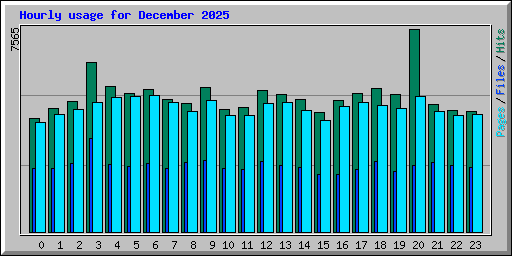 Hourly usage for December 2025