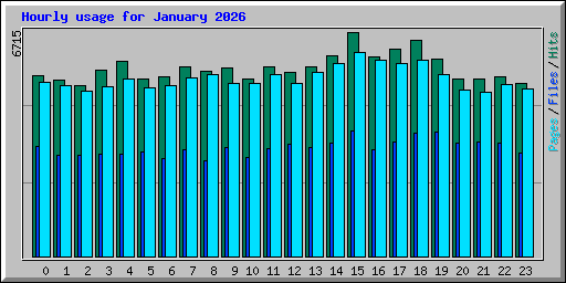 Hourly usage for January 2026