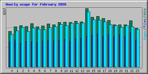 Hourly usage for February 2026