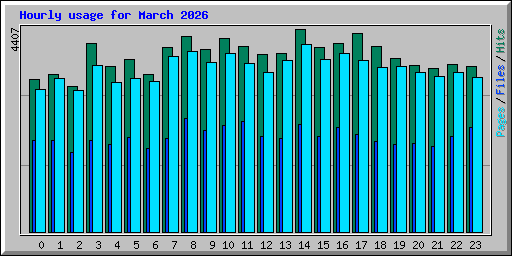 Hourly usage for March 2026