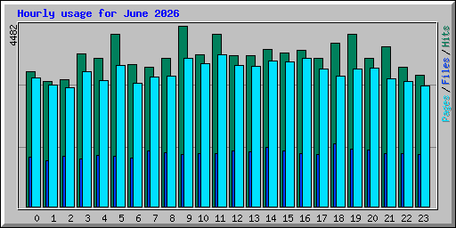 Hourly usage for June 2026