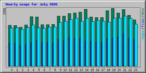 Hourly usage for July 2026